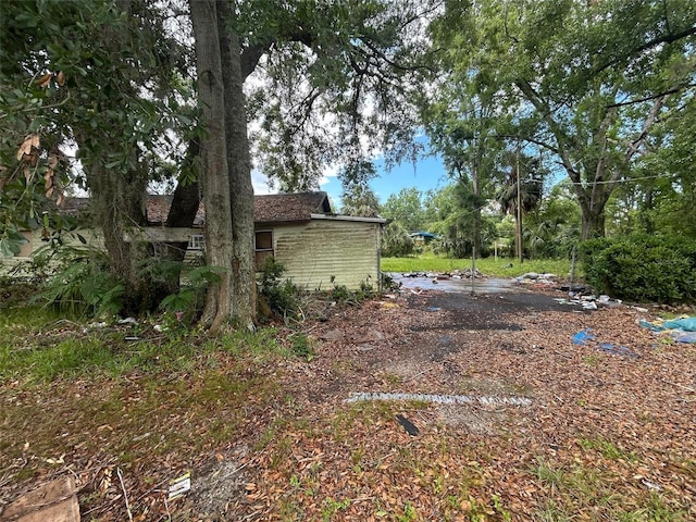 101 Green Ave SW, Live Oak, FL 32064 - view of yard