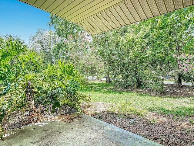 1591 Revere Ln, Daytona Beach, FL 32117 - view of yard