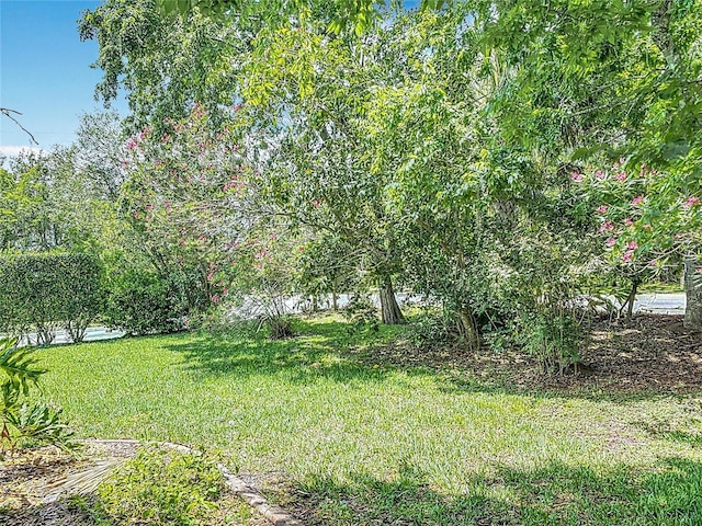 1591 Revere Ln, Daytona Beach, FL 32117 - view of grassy yard