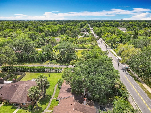 1591 Revere Ln, Daytona Beach, FL 32117 - drone / aerial view of a forest