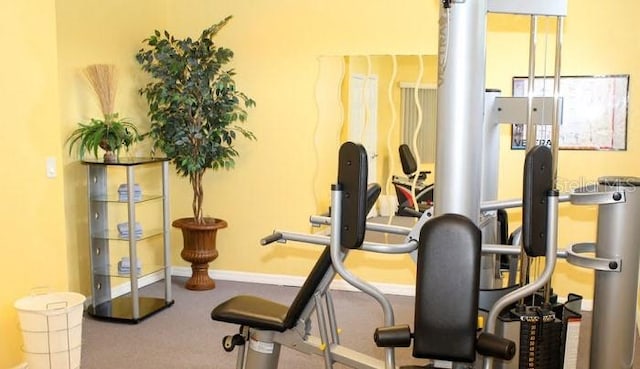 446 Summer Place Loop, Clermont, FL 34714 - exercise area featuring baseboards and carpet