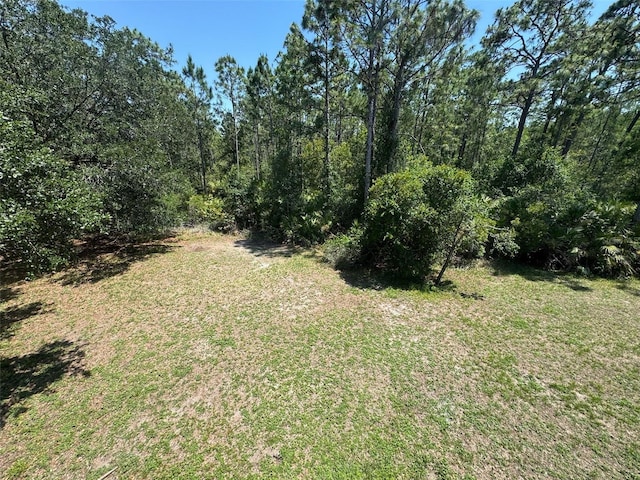 3707 Andover Cay Blvd, Orlando, FL 32825 - view of undeveloped land