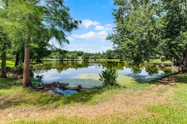 821 Shallow Brook Ave, Winter Springs, FL 32708 - photo 4