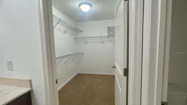 4450 Capital Blvd, Saint Cloud, FL 34769 - walk in closet featuring carpet floors