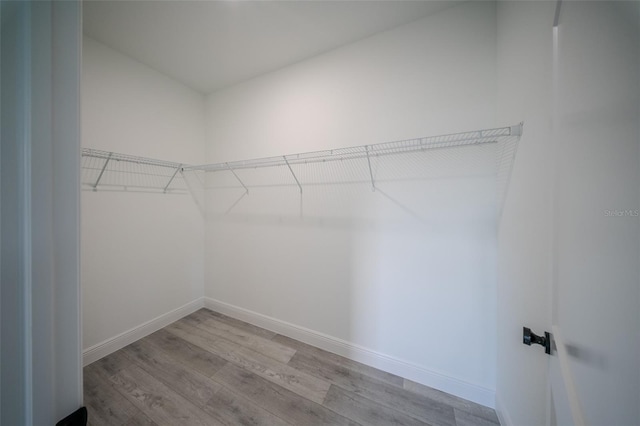 walk in closet featuring light wood-type flooring