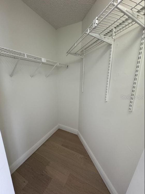3621 Atrium Dr Unit U-4, Orlando, FL 32822 - spacious closet featuring wood finished floors