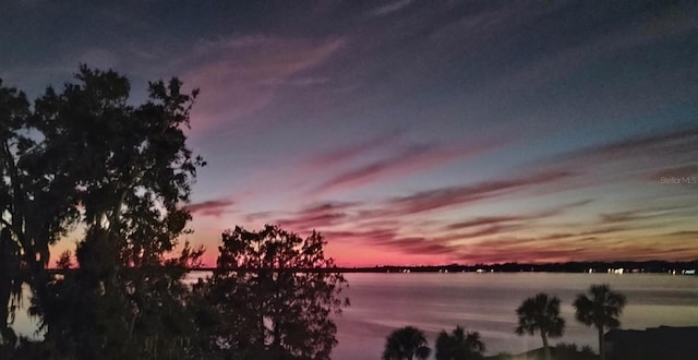 629 Helen St, Mount Dora, FL 32757 - water view