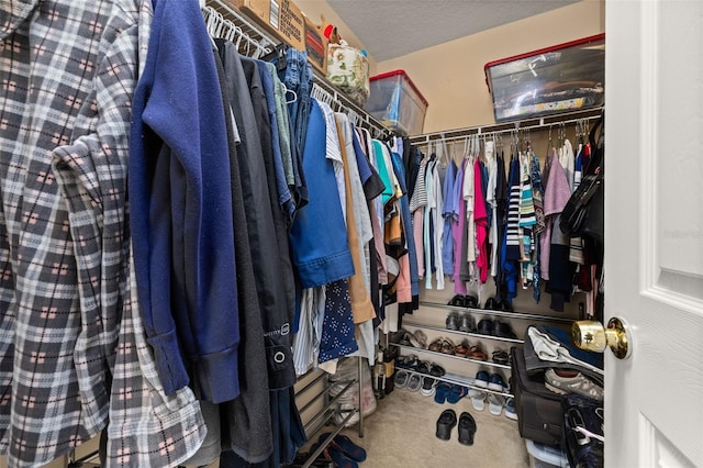 9141 Camden Gardens St, Orlando, FL 32827 - spacious closet with carpet floors