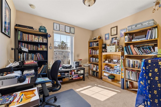 9141 Camden Gardens St, Orlando, FL 32827 - view of carpeted office space