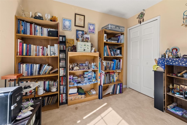 9141 Camden Gardens St, Orlando, FL 32827 - living area featuring carpet floors