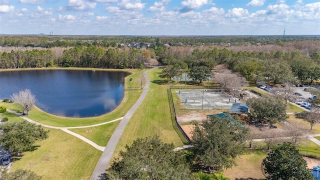 9141 Camden Gardens St, Orlando, FL 32827 - drone / aerial view of a large body of water