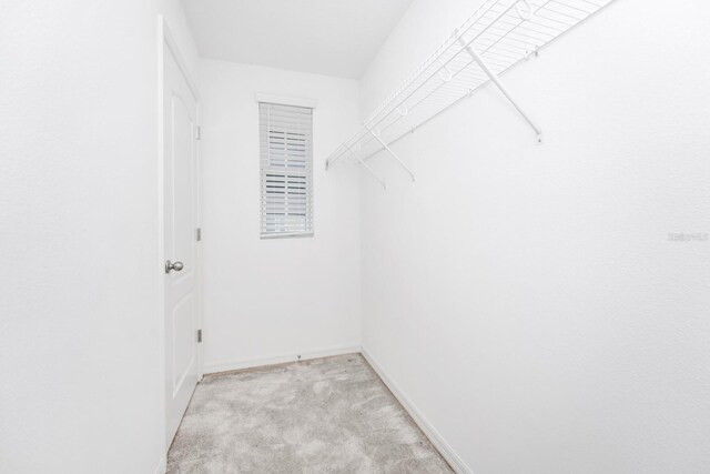 809 Benoi Dr, Davenport, FL 33896 - walk in closet with light colored carpet