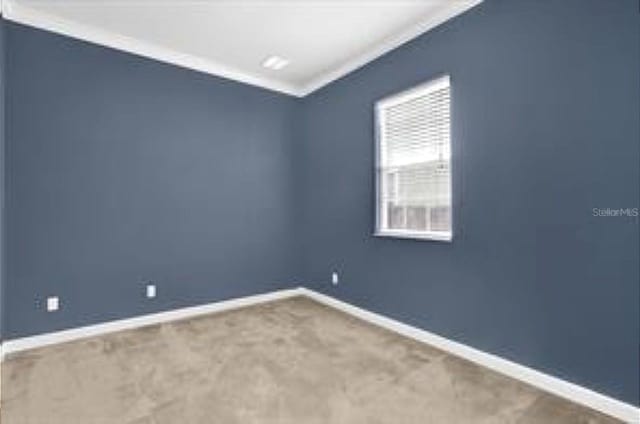 carpeted spare room featuring crown molding and baseboards