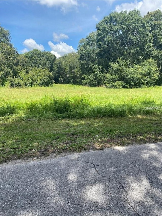 1308 E Alsobrook St, Plant City, FL 33563