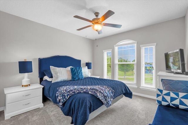 8500 Iron Mountain Trl, Windermere, FL 34786 - photo 28