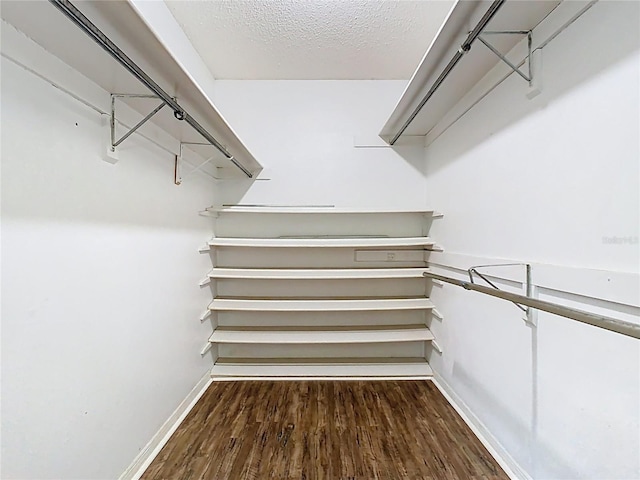 148 Tarrytown Trl, Longwood, FL 32750 - walk in closet featuring wood finished floors