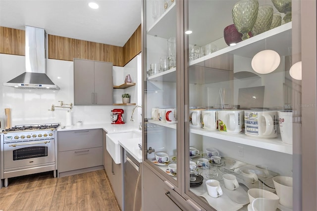 8430 Woburn Ct, Windermere, FL 34786 - kitchen featuring appliances with stainless steel finishes, wall chimney exhaust hood, gray cabinets, a sink, and modern cabinets