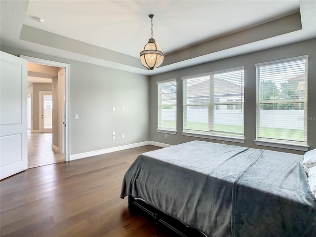 8491 Pippen Dr, Orlando, FL 32836 - bedroom with multiple windows, dark wood finished floors, baseboards, and a raised ceiling