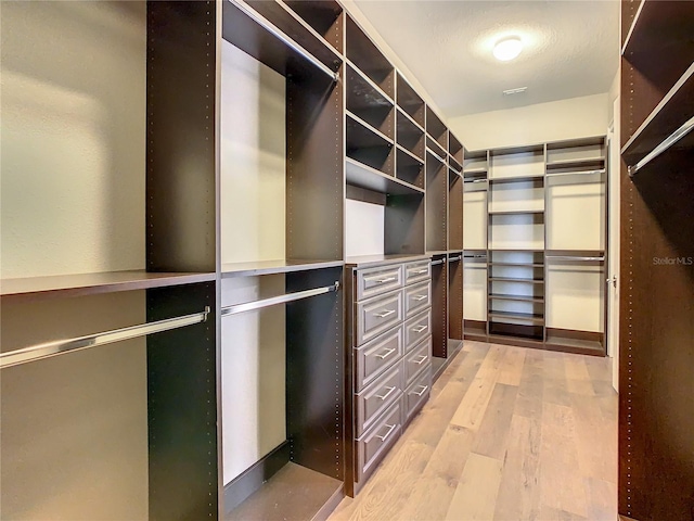 8491 Pippen Dr, Orlando, FL 32836 - walk in closet with light wood-style flooring