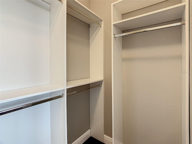 8491 Pippen Dr, Orlando, FL 32836 - view of spacious closet