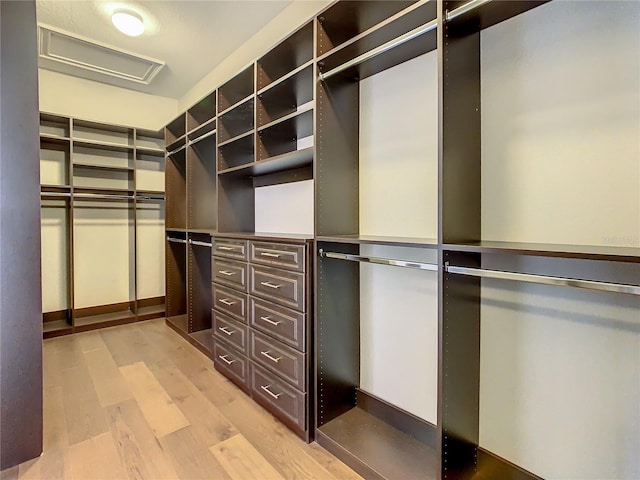 8491 Pippen Dr, Orlando, FL 32836 - walk in closet featuring light wood finished floors and attic access