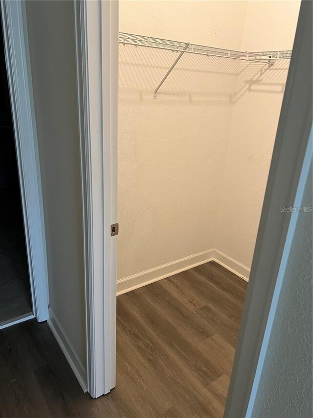 11258 Whistling Pine Way, Orlando, FL 32832 - walk in closet with dark wood finished floors