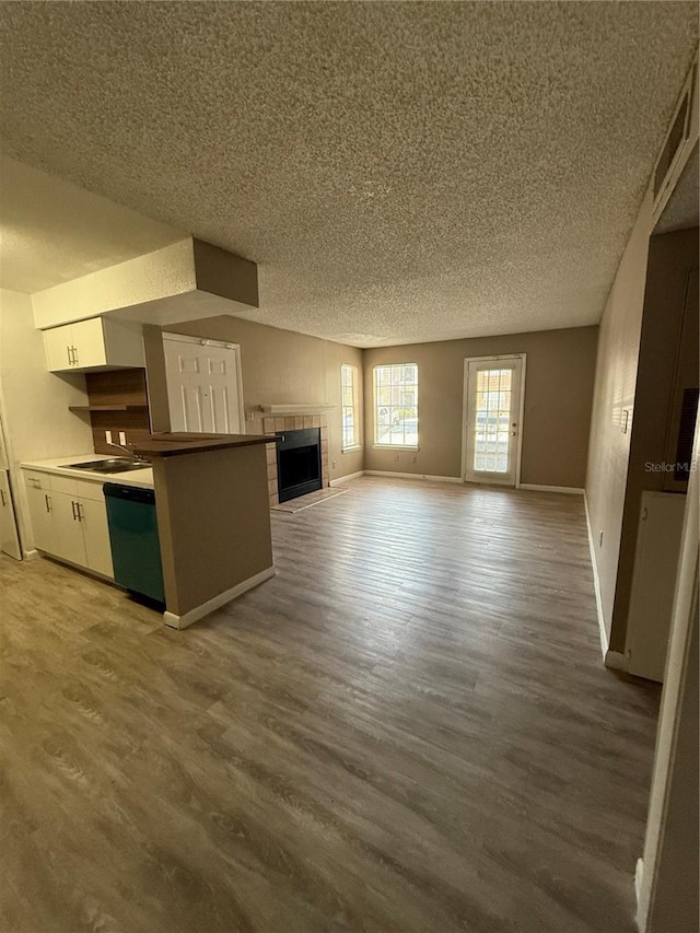 5540 Devonbriar Way Unit 103, Orlando, FL 32822 - unfurnished living room featuring a textured ceiling, a sink, wood finished floors, a fireplace, and baseboards