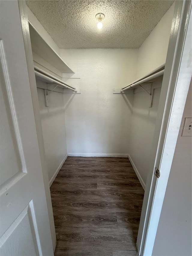 5540 Devonbriar Way Unit 103, Orlando, FL 32822 - walk in closet with dark wood-type flooring