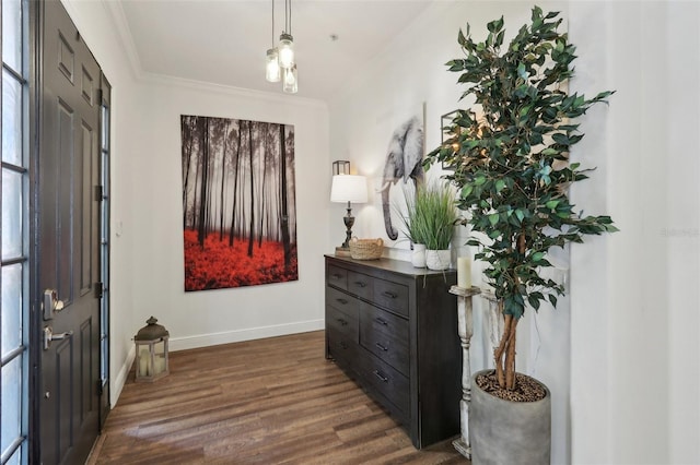 foyer entrance with dark wood finished floors, baseboards, and ornamental molding