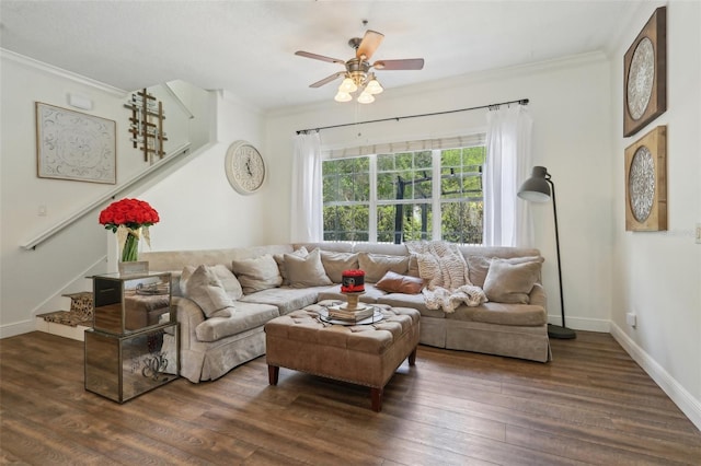living area featuring stairs, ornamental molding, dark wood-style flooring, ceiling fan, and baseboards