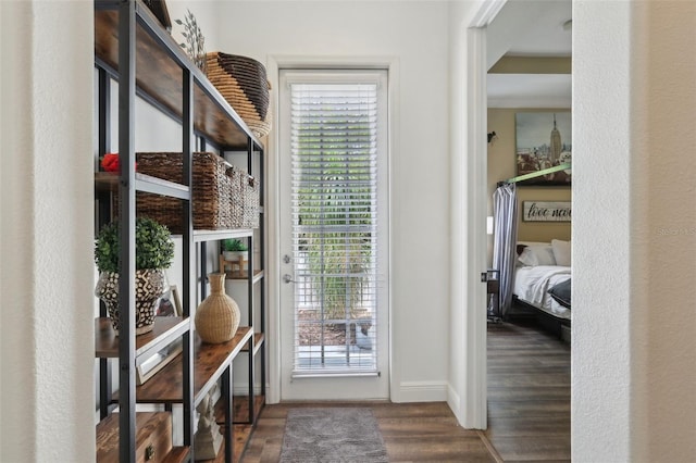 doorway featuring wood finished floors, plenty of natural light, and baseboards