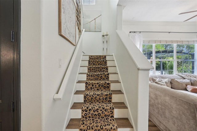 stairway featuring ceiling fan, crown molding, and wood finished floors