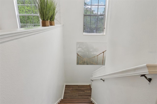 stairway with wood finished floors, baseboards, and plenty of natural light