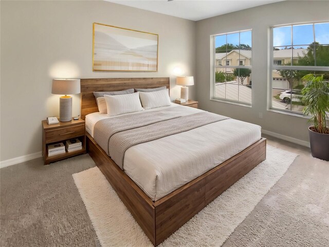 915 Woodbridge Ct, Safety Harbor, FL 34695 - photo 13