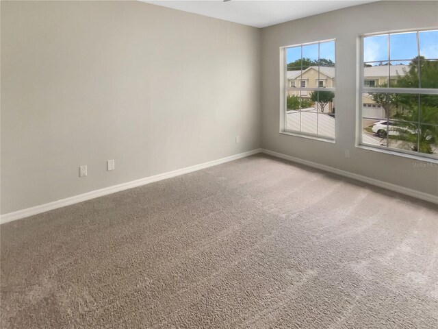 915 Woodbridge Ct, Safety Harbor, FL 34695 - photo 14