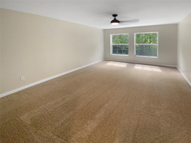 915 Woodbridge Ct, Safety Harbor, FL 34695 - photo 17