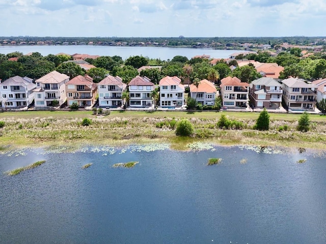 8515 Saint Marino Blvd, Orlando, FL 32836 - photo 80
