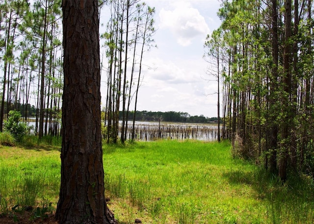 548 Glen Haven Dr, Deltona, FL 32738 - view of yard with a water view