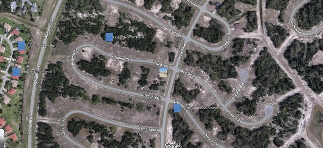300 Begonia Ct, Kissimmee, FL 34759
