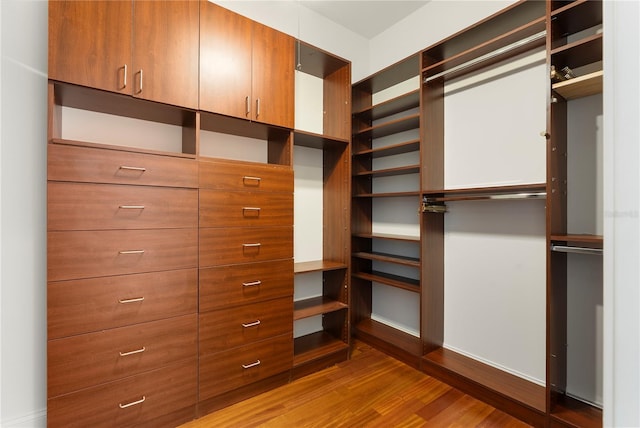1010 Terrace Blvd, Orlando, FL 32803 - spacious closet featuring wood finished floors