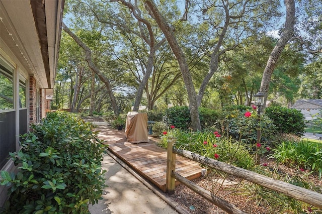 921 Torchwood Dr, Deland, FL 32724 - view of yard