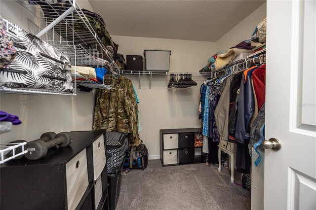 spacious closet with carpet