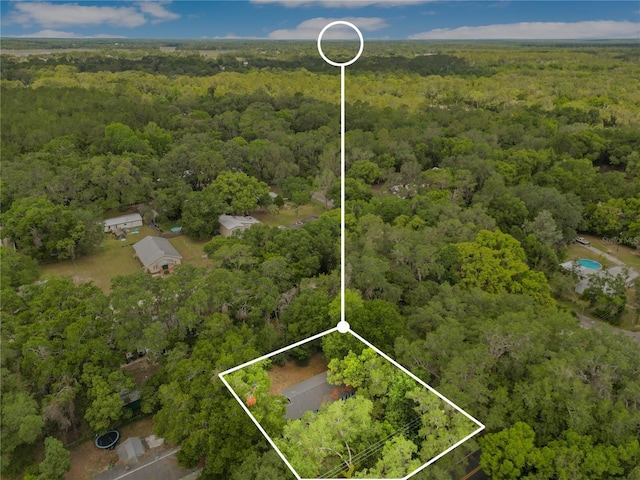 12046 SE 135th Ave, Ocklawaha, FL 32179 - aerial view of property's location with a heavily wooded area and property boundaries highlighted