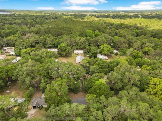 12046 SE 135th Ave, Ocklawaha, FL 32179 - aerial view of property's location with a heavily wooded area