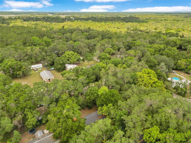 12046 SE 135th Ave, Ocklawaha, FL 32179 - bird's eye view of a heavily wooded area