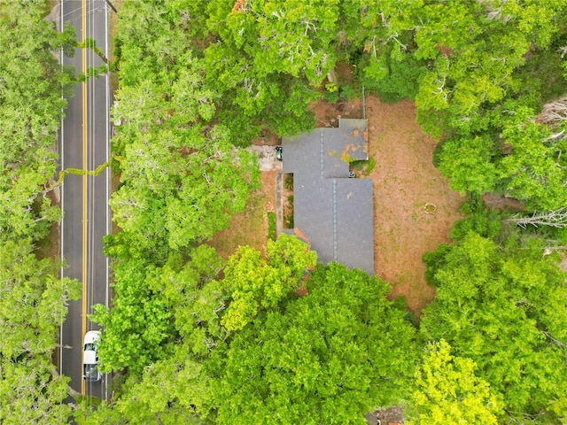 12046 SE 135th Ave, Ocklawaha, FL 32179 - bird's eye view
