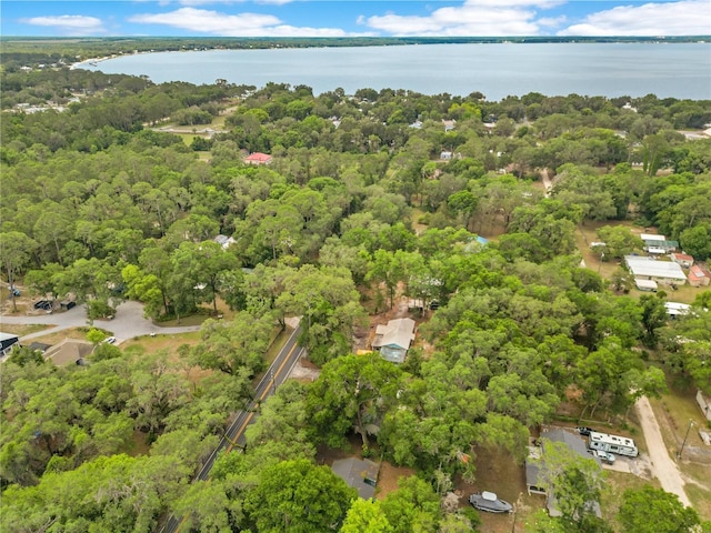 12046 SE 135th Ave, Ocklawaha, FL 32179 - aerial view of property's location featuring a large body of water and a forest