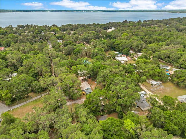 12046 SE 135th Ave, Ocklawaha, FL 32179 - aerial overview of property's location with a large body of water and a forest