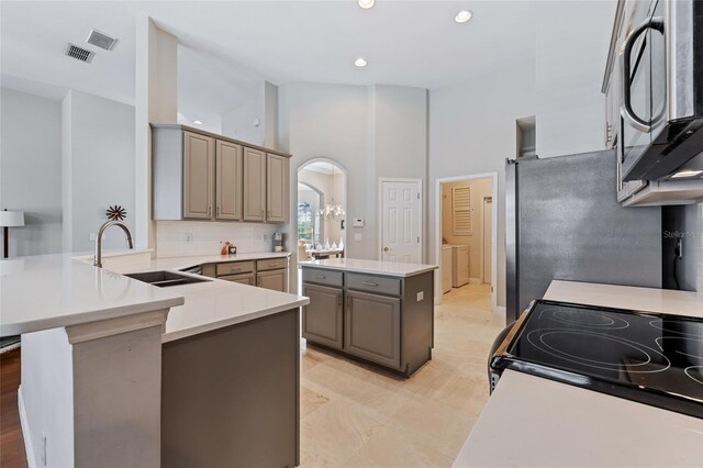 10030 Chatham Oaks Ct, Orlando, FL 32836 - kitchen with appliances with stainless steel finishes, gray cabinetry, a sink, arched walkways, and light countertops