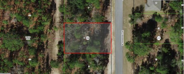 9120 N Paradisea Dr, Citrus Springs, FL 34433